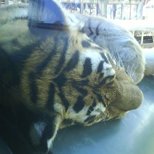 n1473327270_30193013_5369