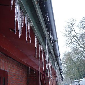 Icy S.A.M. House 2/2/09