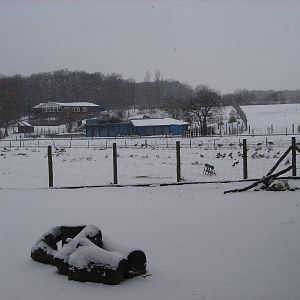 Capy Enclosure , Rheas and Penguin World beyond.