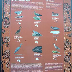 Australian Aviary label at Planckendael Jan 09