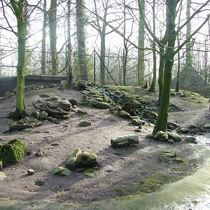 Red Fox enclosure at Planckendael Jan 09