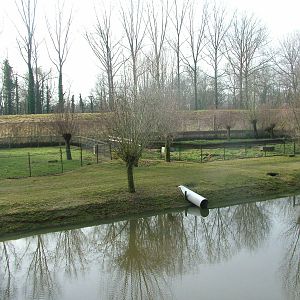 European Otter pens at Planckendael Jan 09