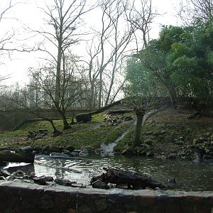 Asian Short-clawed Otter enclosure at Planckendael Jan 09