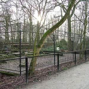 Spotted Hyaena enclosure at Planckendael Jan 09