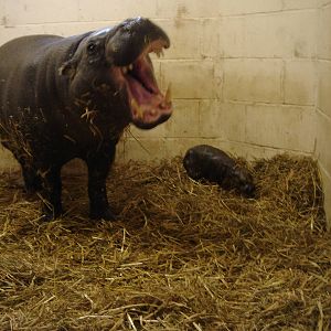 Wendy being protective