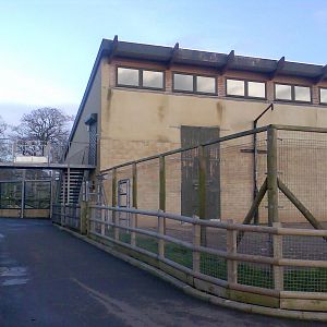 Showing raised walkway for deliveries to the house