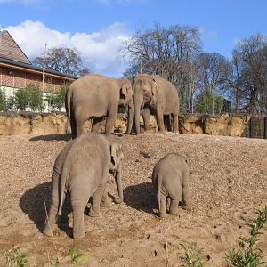 Anak guiding Asha up the hill