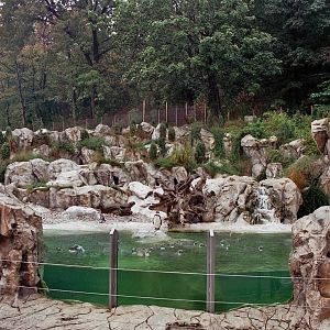 Penguin exhibit detail