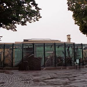 Orang utan outdoor exhibit