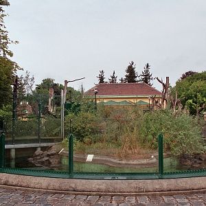 Giant panda Exhibit with pool