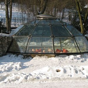 Flamingo house at Liberec zoo