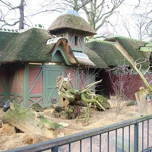 Mixed Mongoose exhibit at Antwerp Zoo Jan 09