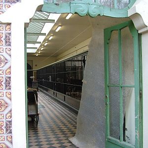 Okapi House interior at Antwerp Zoo Jan 09