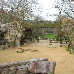 Domestic animal paddock at Antwerp Zoo Jan 09