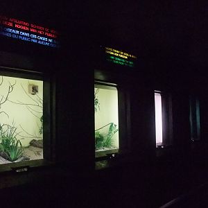 Light-Box aviaries at Antwerp Zoo Jan 09