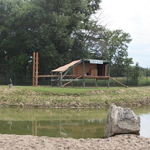 African Safari Wildlife Park's "Lemur Island"