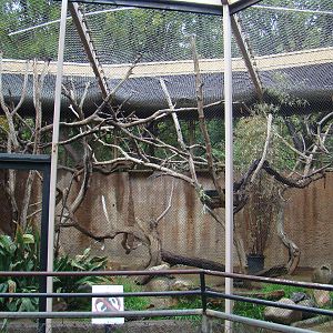 Fossa exhibit