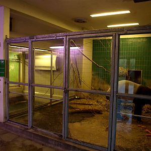 Copenhagen Zoo - Tapir stall