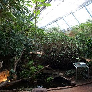 Copenhagen Zoo - Tropical ZOO