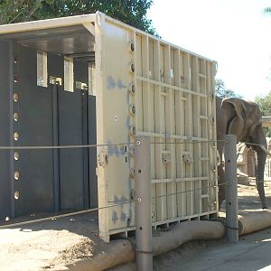 Crate Training 2-4-09