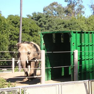 Crate Training 2-4-09