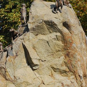 Praha Zoo, Czech Rep.