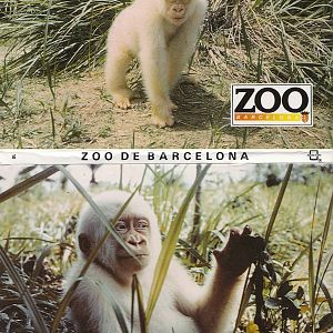 Copito de Nieve, Barcelona Zoo, Spain