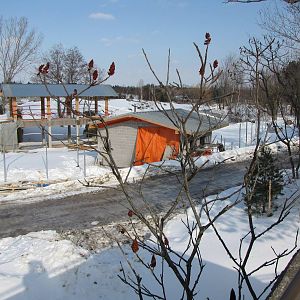 Tundra Trek Feb. 7/09