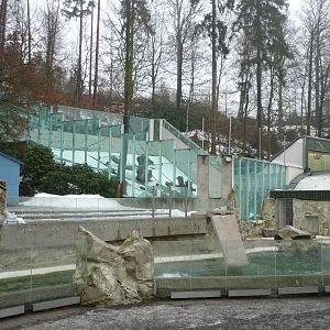 Chimp & South American Sea Lion Outdoor Exhibits