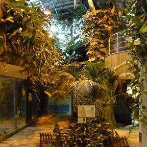 Inside the Tropical House, Ground Floor