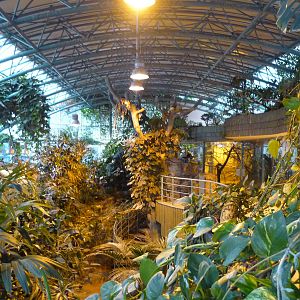 Tropical House 1st Floor