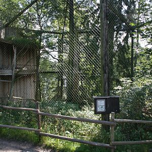 Eagle owl aviary - Furuvik
