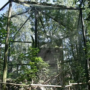 Eagle owl aviary - Furuvik