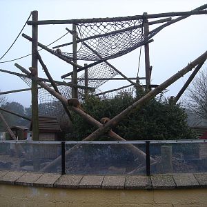 The Coati enclosure