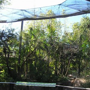 Kopje Aviary 2-10-09