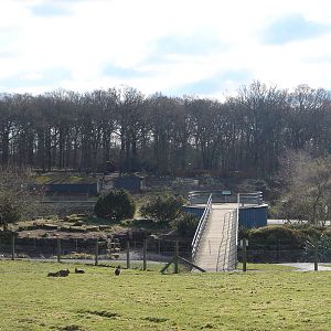 The view from the Mara paddock