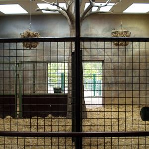 Aalborg Zoo - Giraffe House