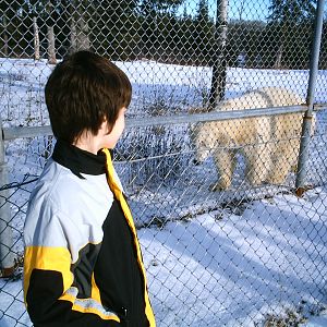 Polar Bear December 2006