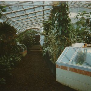 Tropical house 28/11/97