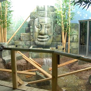 Short clawed otter exhibit at Timmendorfer Strand