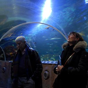 Shark-tunnel at Timmendorfer Strand