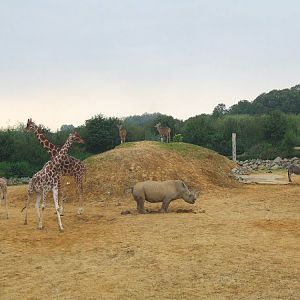 African mixed-species exhibit, Spirit of Africa exhibit