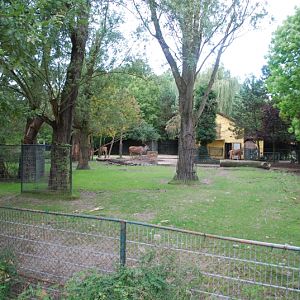 African mammal enclosure