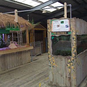 The whole Leafcutter ant exhibit