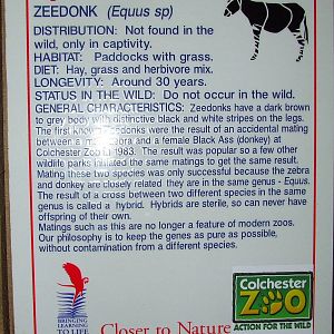 Information table, Species Profile, Zeedonk