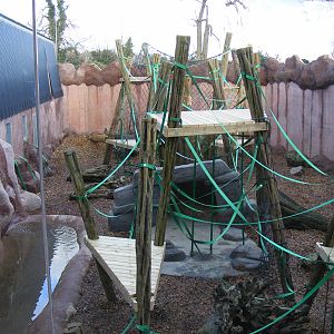Orangutan Forest outdoor exhibit at Colchester Zoo, 14 February 2009