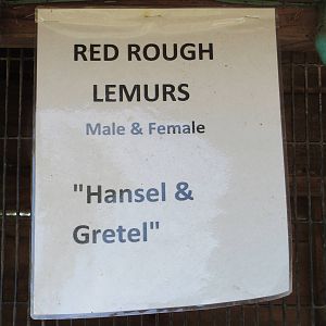 Red ROUGH Lemur Sign
