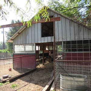 Barn (lemurs, llamas and a zebu)