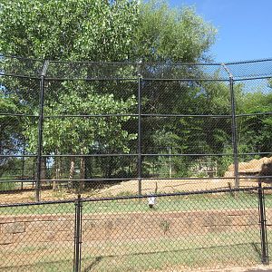 Indochinese Tiger Exhibit
