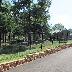 Tiger Exhibit